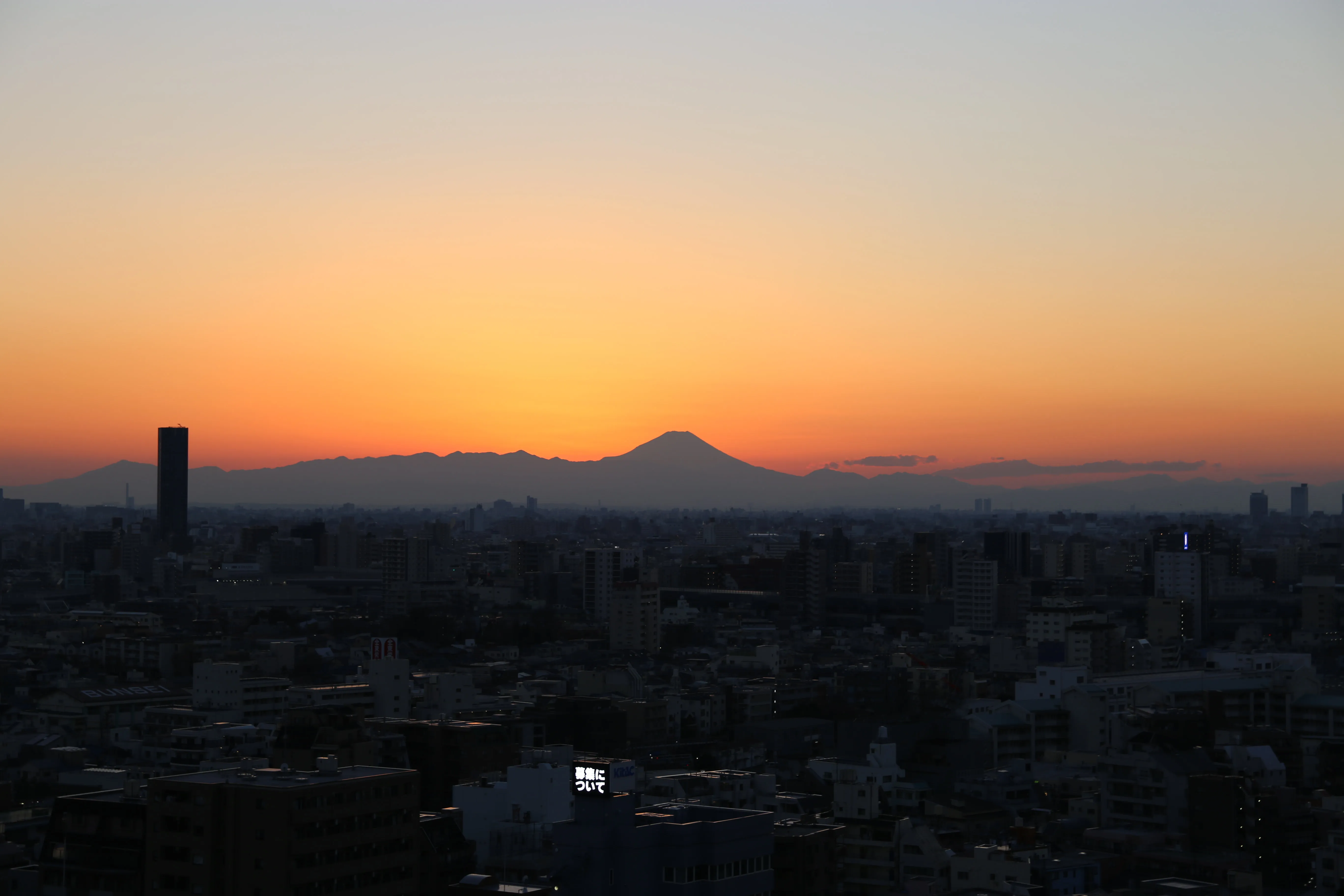 都心ラグジュアリー ペントハウス 2BR